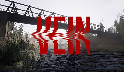 Vein Dedicated Server Hosting